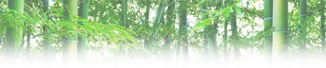 朱竹印は竹の根を使用した印鑑。個性的な落款印として唯一無二の印章。